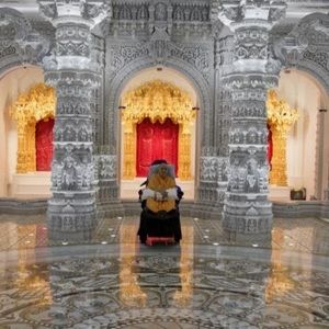 Meet your Posher, Zaina